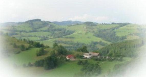 Gasthof Koglerhof Ternberg Esterno foto